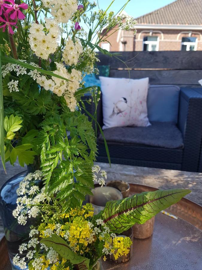 Maison Sophie Bed & Breakfast Tongeren Ngoại thất bức ảnh