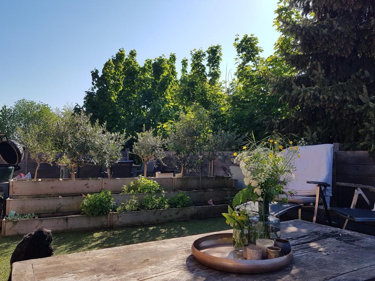 Maison Sophie Bed & Breakfast Tongeren Ngoại thất bức ảnh